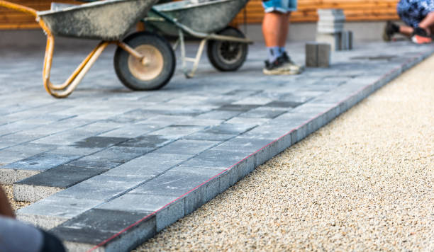 Best Local Driveway Pavers  in Pecan Grove, TX